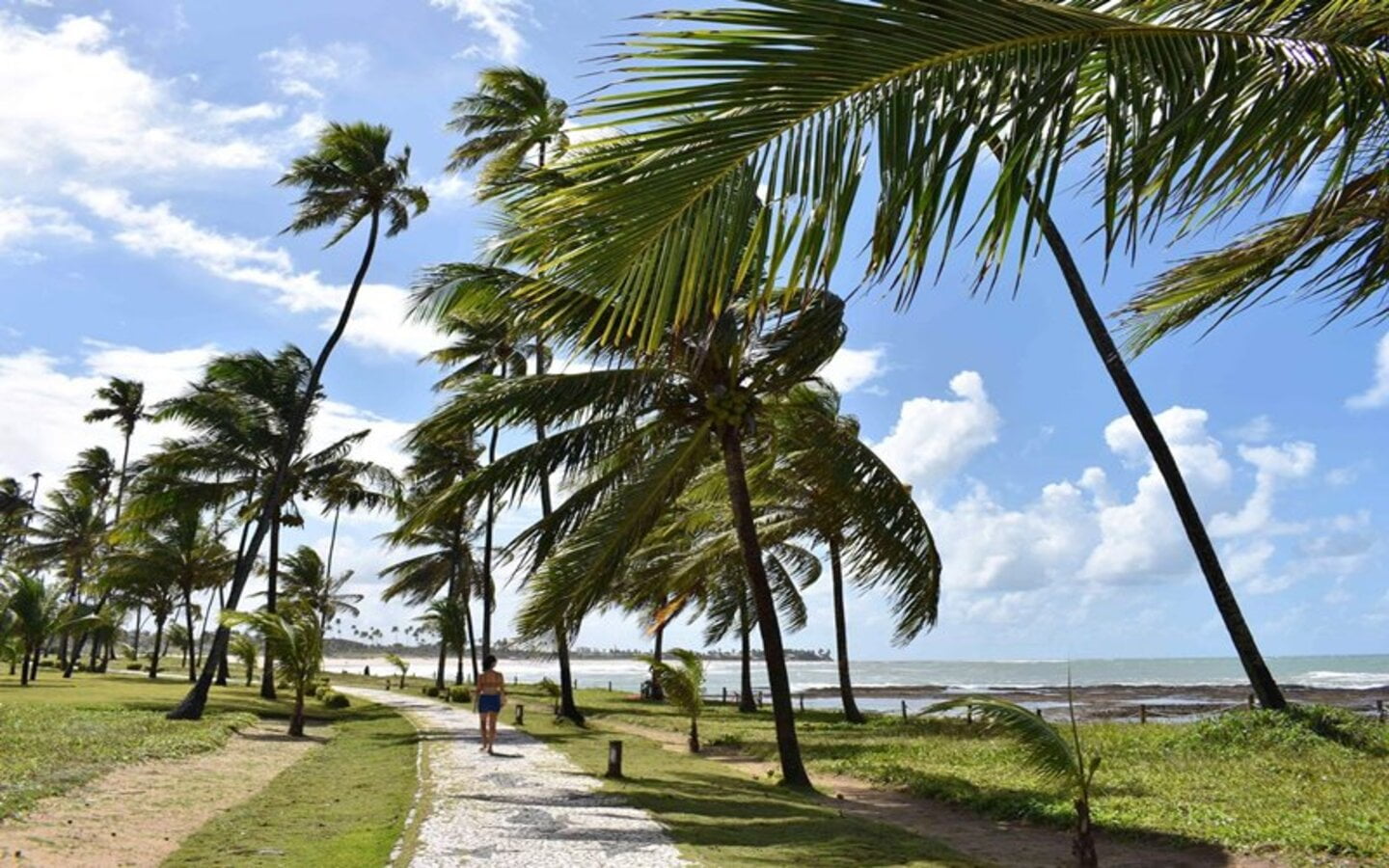 18815414_1959190660983313_39225284292135054_o