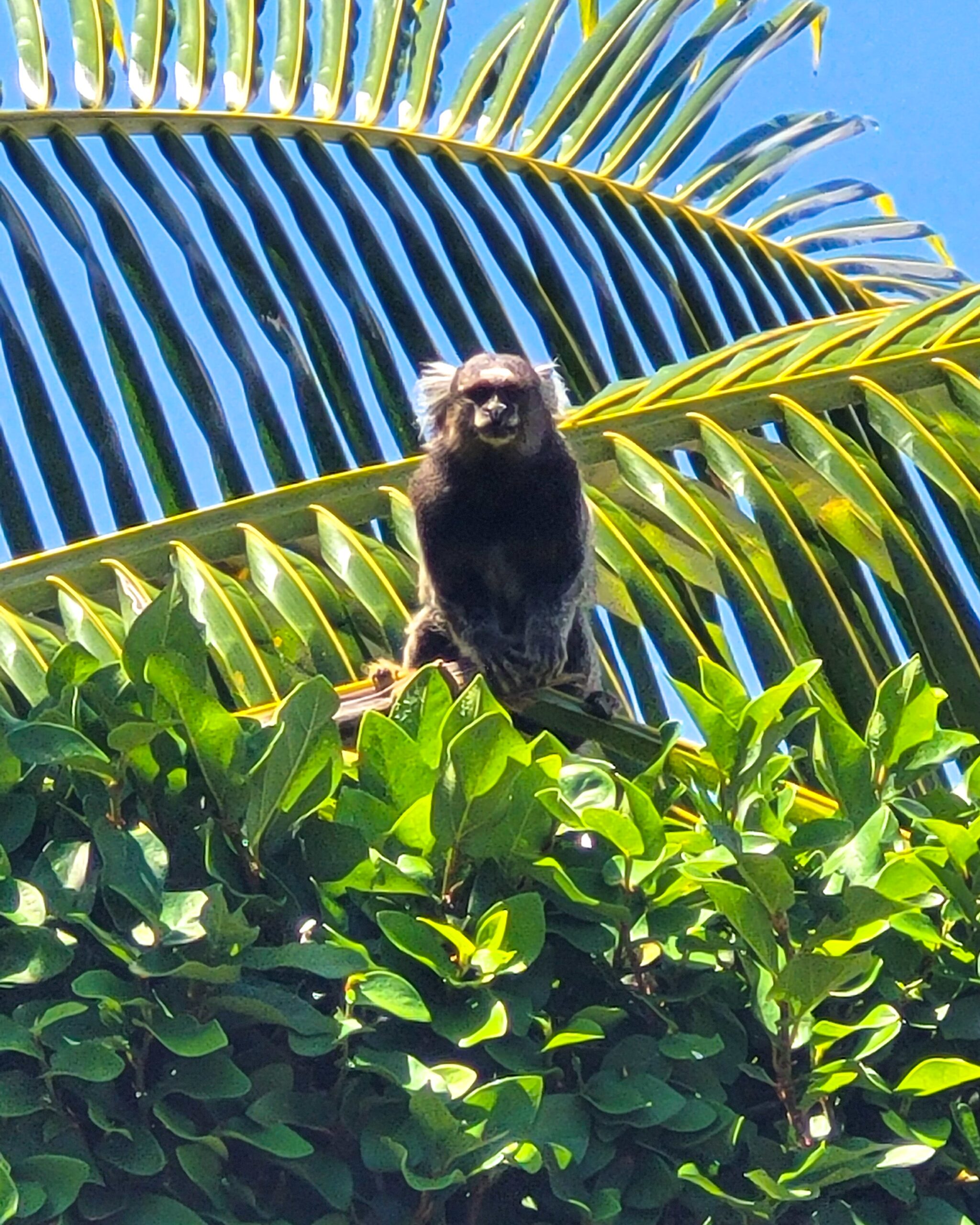 IMG_20230106_104224_721