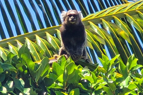 IMG_20230106_104224_721